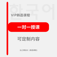 VIP定制韩语课程